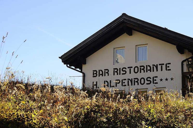 Hotel Alpenrose Passo Rolle Bagian luar foto