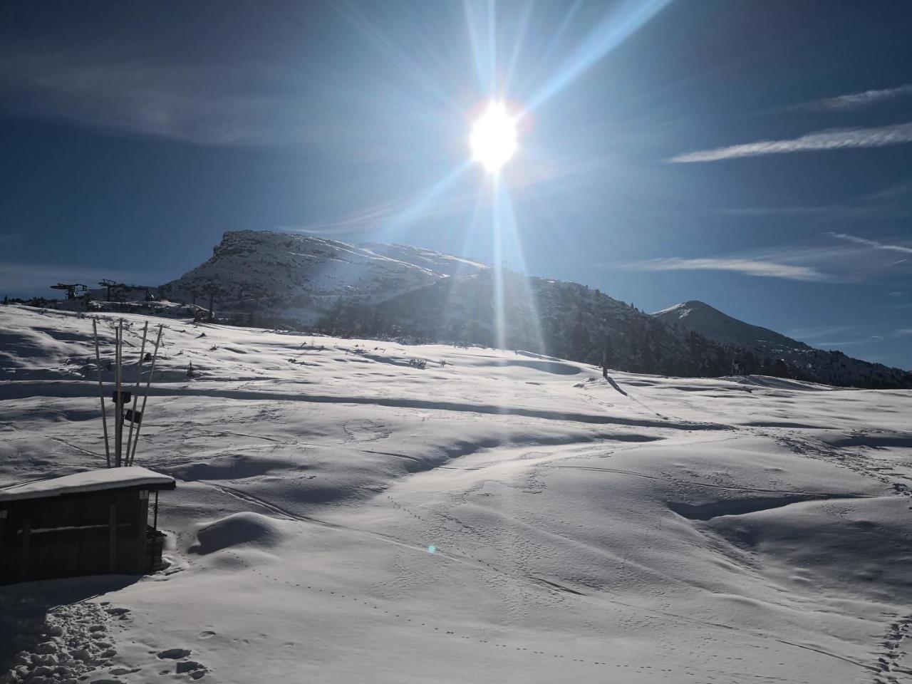Hotel Alpenrose Passo Rolle Bagian luar foto