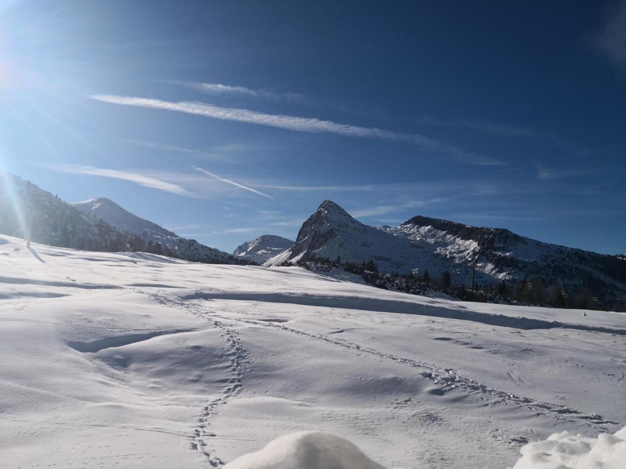 Hotel Alpenrose Passo Rolle Bagian luar foto